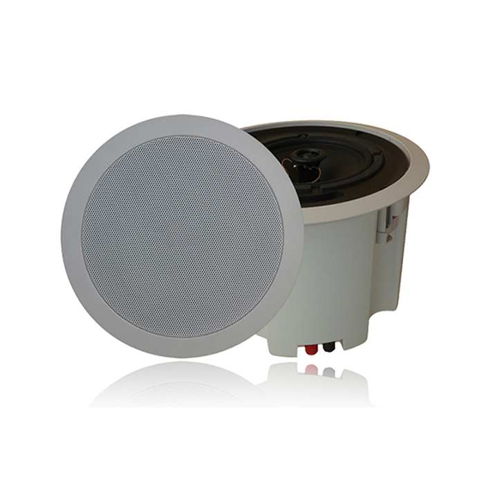 ZY530CBZ  藍(lán)牙商務(wù)吸頂音箱30W5寸低音，絲膜高音，帶后罩，內(nèi)置功放30W