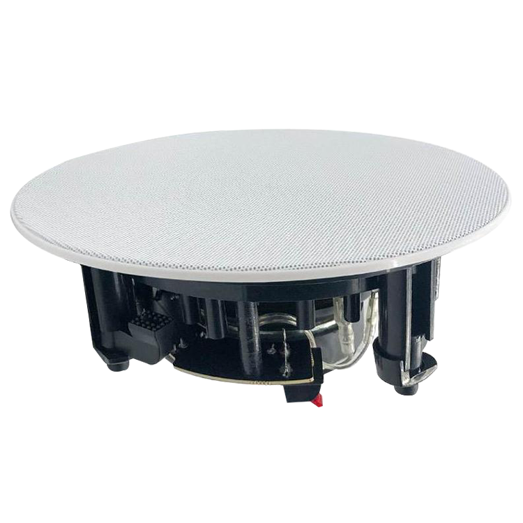 全頻吸頂音箱